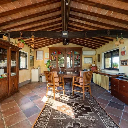 Linearis House Country house